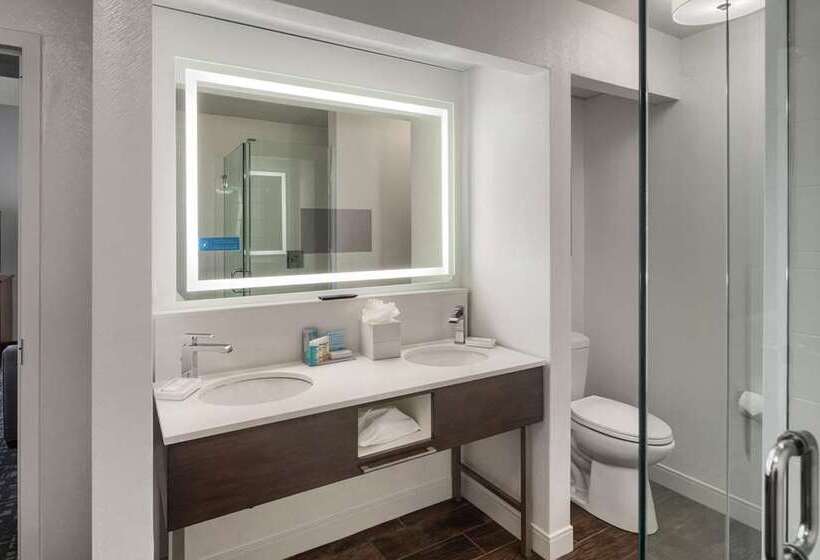 Suite Lit King, Embassy Suites Chattanooga / Hamilton Place