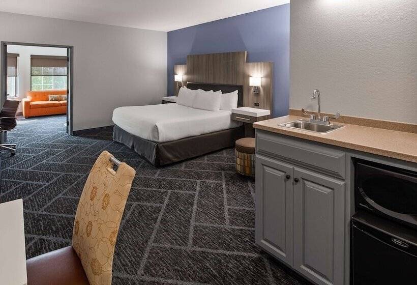 סוויטה מותאמת לאדם עם מוגבלויות, Best Western Plus Appleton Airport Mall