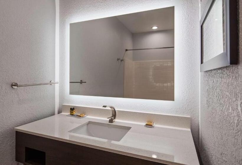 장애인을 위한 스위트, Best Western Plus Appleton Airport Mall