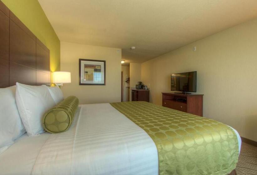 Стандартный Номер Кровать Кинг, Cobblestone Inn & Suites   Holyoke