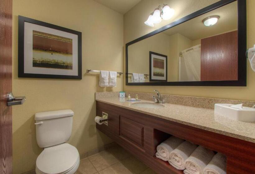 Стандартный Номер Кровать Кинг, Cobblestone Inn & Suites   Holyoke