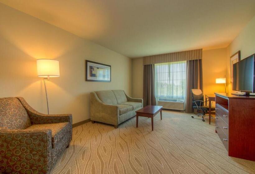 Люкс Адаптированный для Инвалидов, Cobblestone Inn & Suites   Holyoke