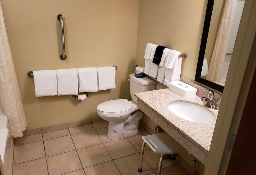 Люкс Адаптированный для Инвалидов, Cobblestone Inn & Suites   Holyoke