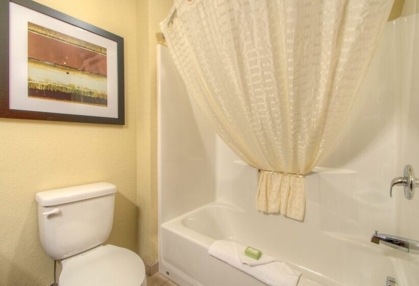 Студия Стандарт, Cobblestone Inn & Suites   Holyoke