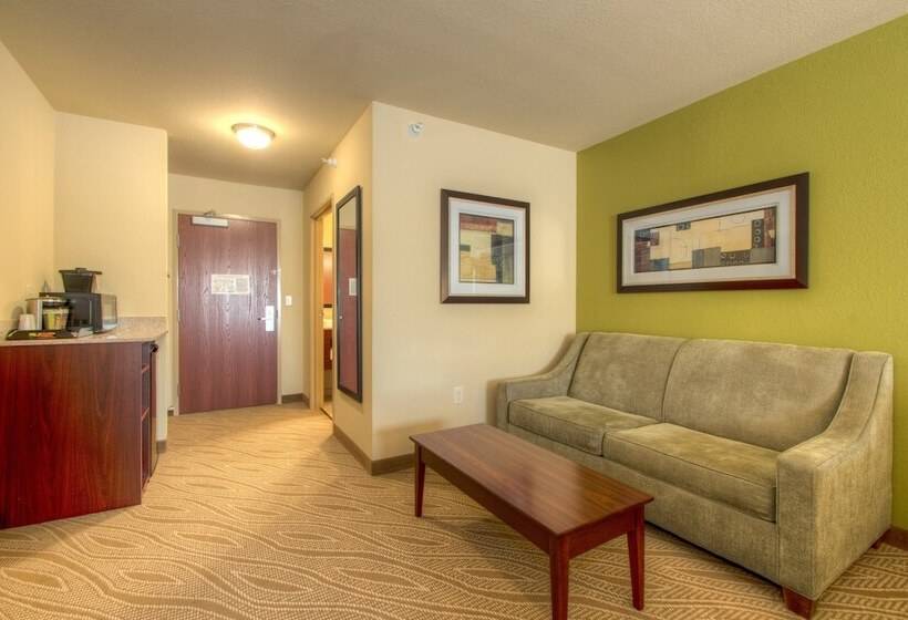 Студия Стандарт, Cobblestone Inn & Suites   Holyoke