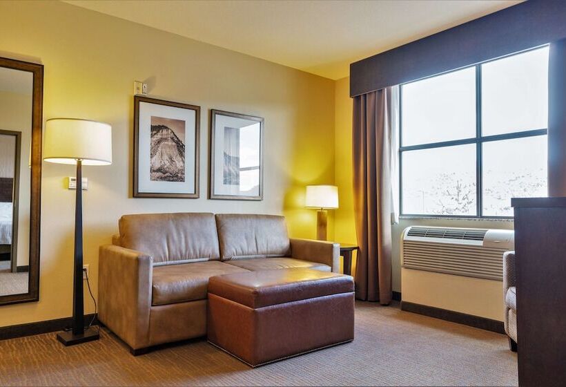 스위트, Homewood Suites By Hilton Durango, Co