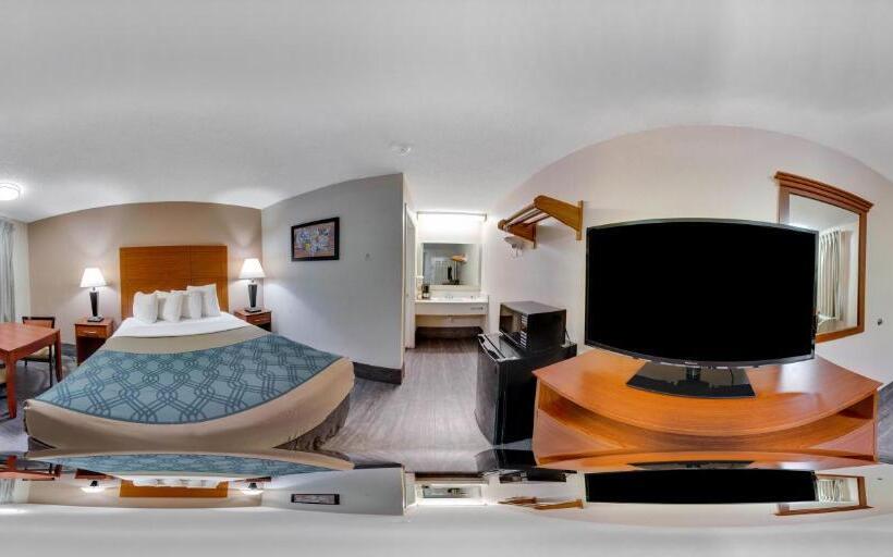 スタンダードルーム, Econo Lodge Inn & Suites Cayce I 26 Airport