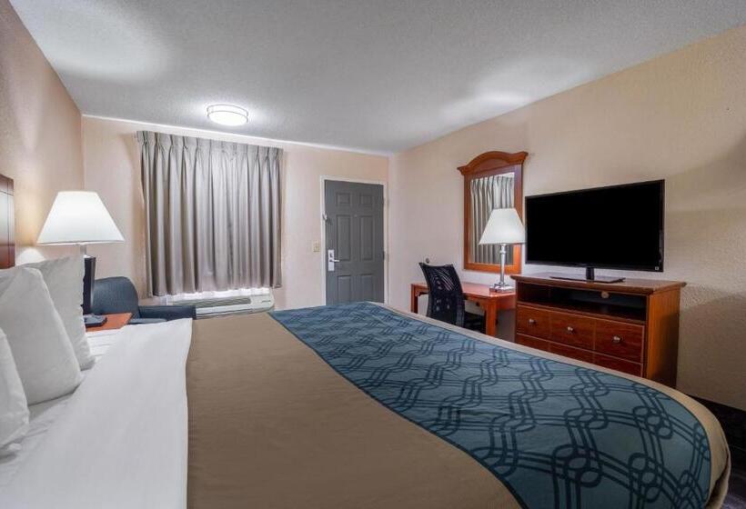 スタンダードルーム, Econo Lodge Inn & Suites Cayce I 26 Airport