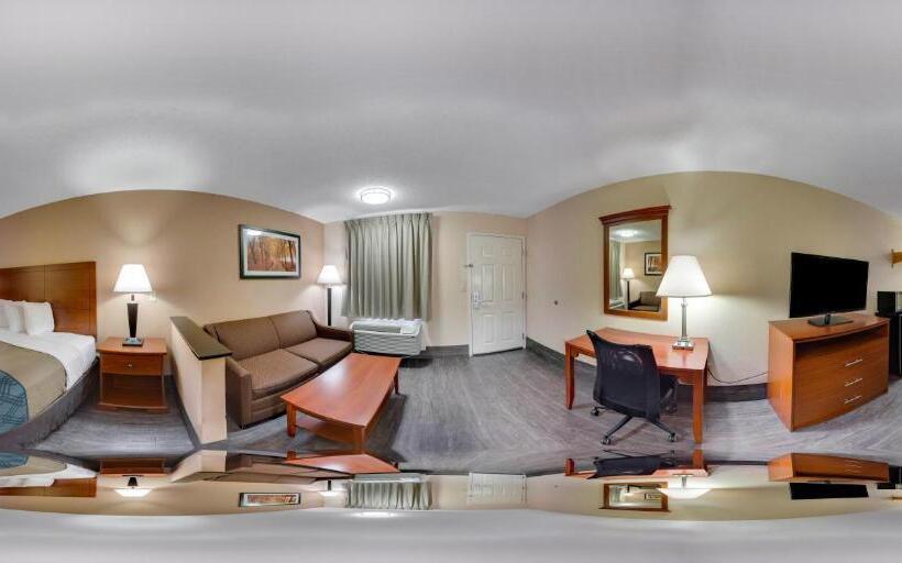 キングサイズベッドのスイートルーム, Econo Lodge Inn & Suites Cayce I 26 Airport