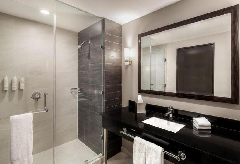 Номер Deluxe Вид на Город, Marriott Panama Hotel   Albrook