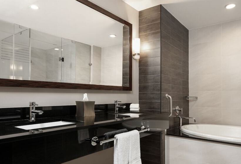 Люкс Вид на Город, Marriott Panama Hotel   Albrook