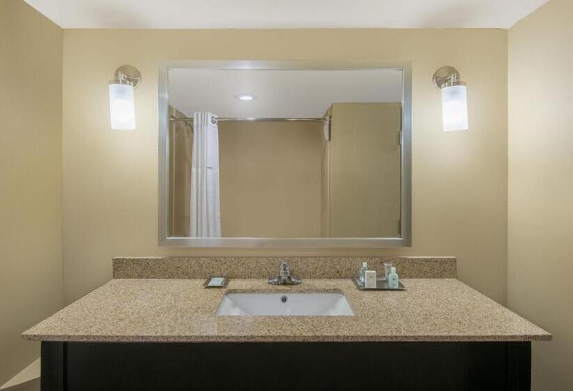 Стандартный Номер Кровать Кинг, Wyndham Garden Texarkana