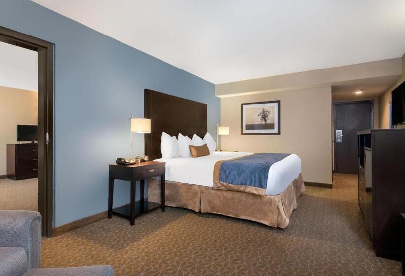 Президентский Люкс, Wyndham Garden Texarkana