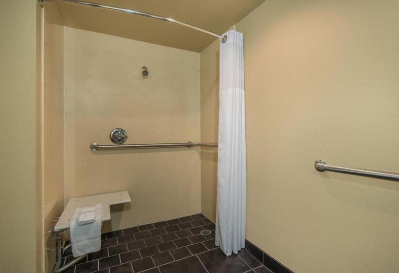 Номер Superior, Wyndham Garden Texarkana