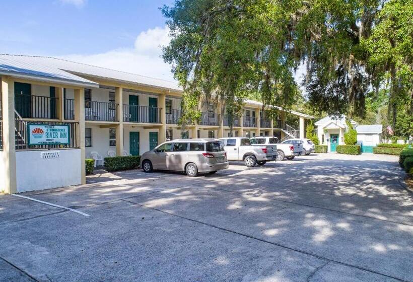 스탠다드 룸 킹사이즈 침대, Steinhatchee River Inn And Marina