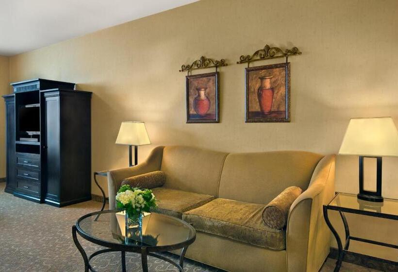 سوئیت با تخت بزرگ, Oxford Suites Boise