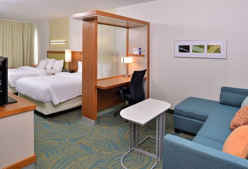 스탠다드 스튜디오, Springhill Suites By Marriott Voorhees Mt. Laurel/cherry Hill