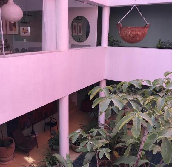 Apartamento Superior 1 Dormitório, Meson San Felipe