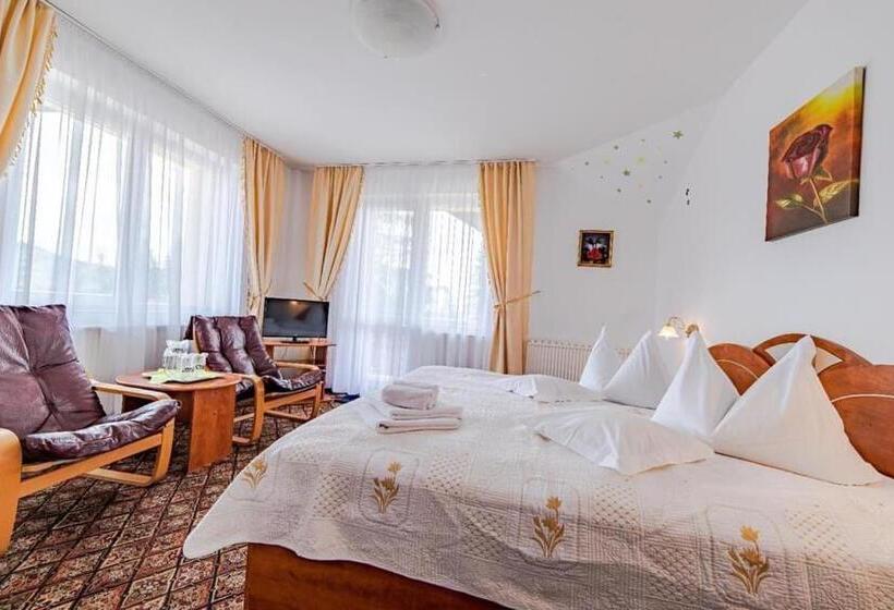 اتاق استاندارد, Pensiunea Turistica Andra