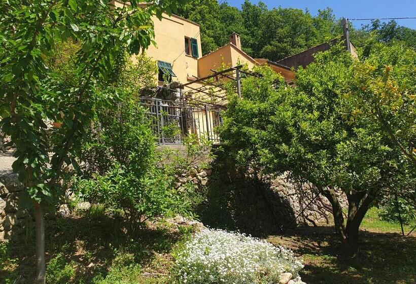 Quarto Estandar, Agriturismo Alveare