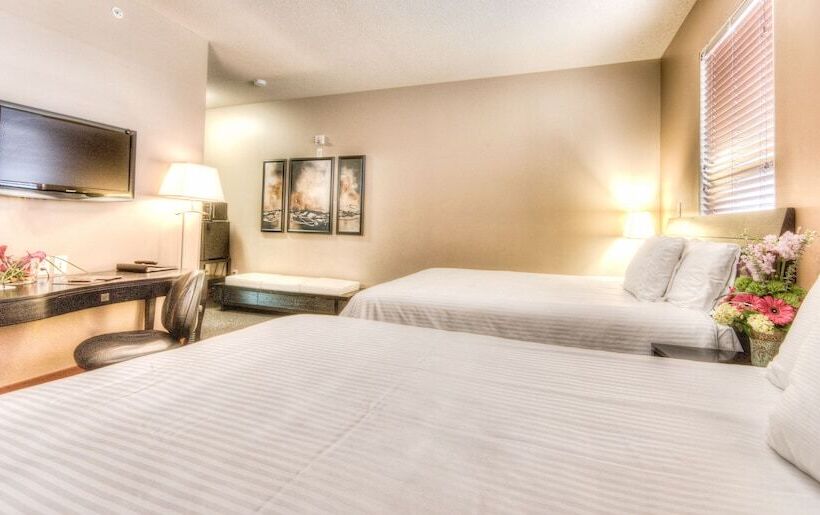 スタンダードルーム, Podollan Inn & Spa  Grande Prairie