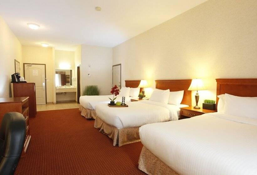 Номер Стандарт Трехместный, Pomeroy Inn And Suites Dawson Creek