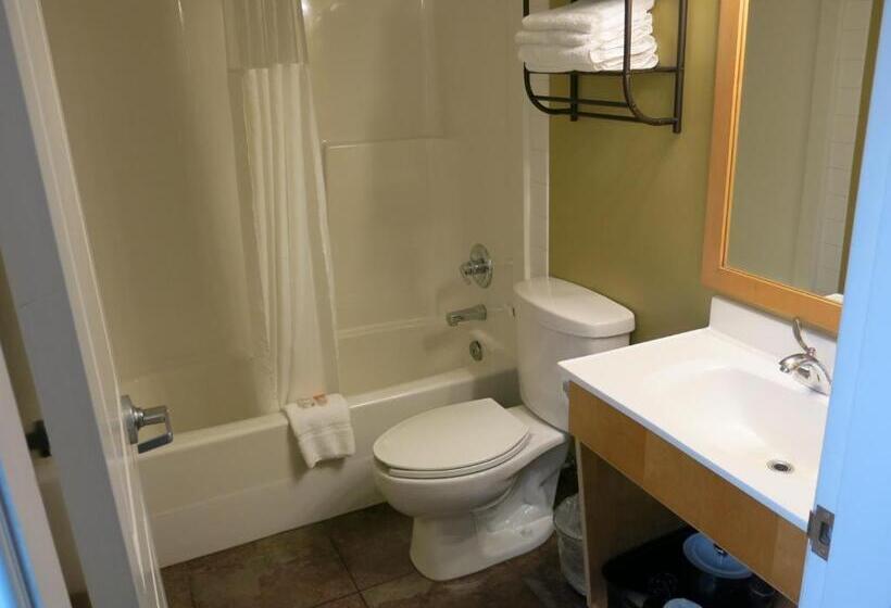 اتاق استاندارد با 2 تخت دوبل, Vedder River Inn