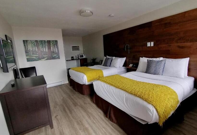 Номер Стандарт 2 Двуспальные Кровати, Snow Valley Lodging