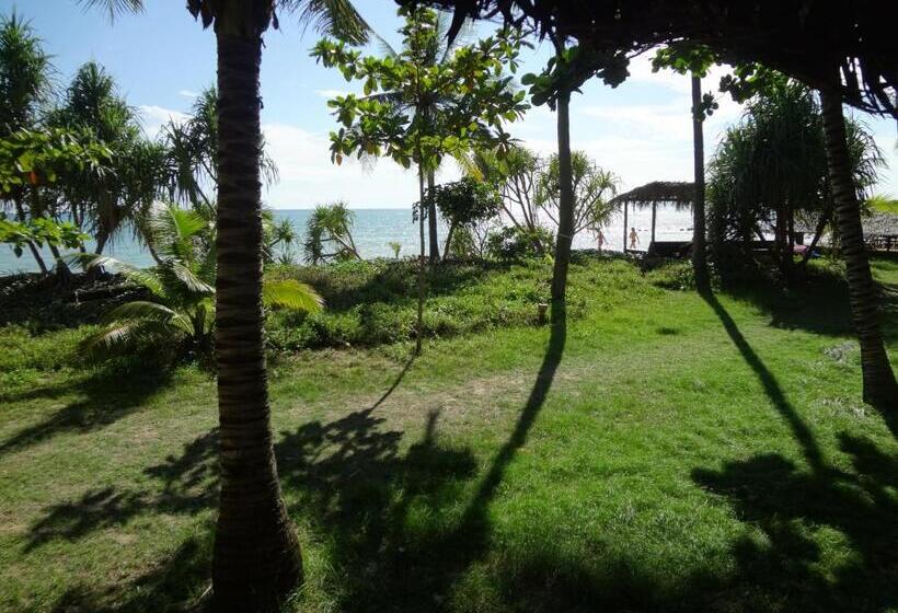 کلبه ییلاقی سوپریور یک خوابه, Relax Bay Resort