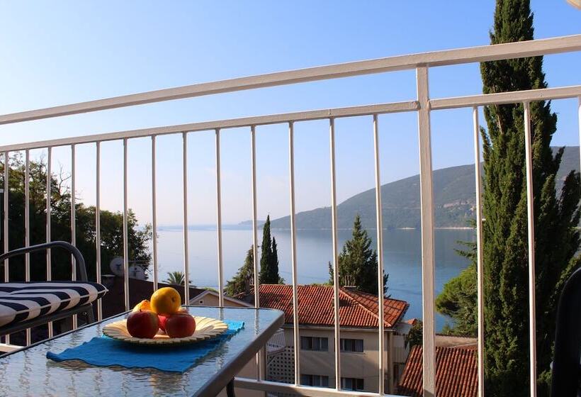 آپارتمان کلاسیک 1 خوابه, Guest House Tomanovic