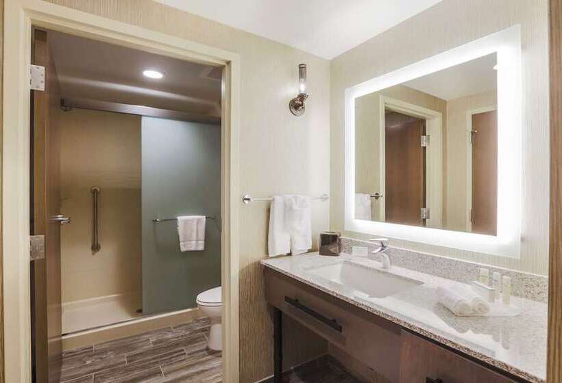 Standard Szoba, Embassy Suites By Hilton Knoxville West