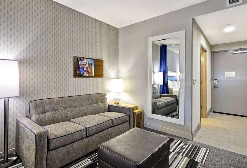 Standard Stúdiószoba Franciaággyal King Size, Embassy Suites By Hilton Knoxville West