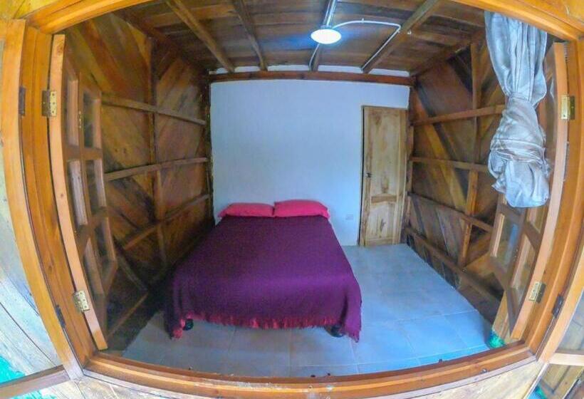 اتاق استاندارد, Iguana Beach House