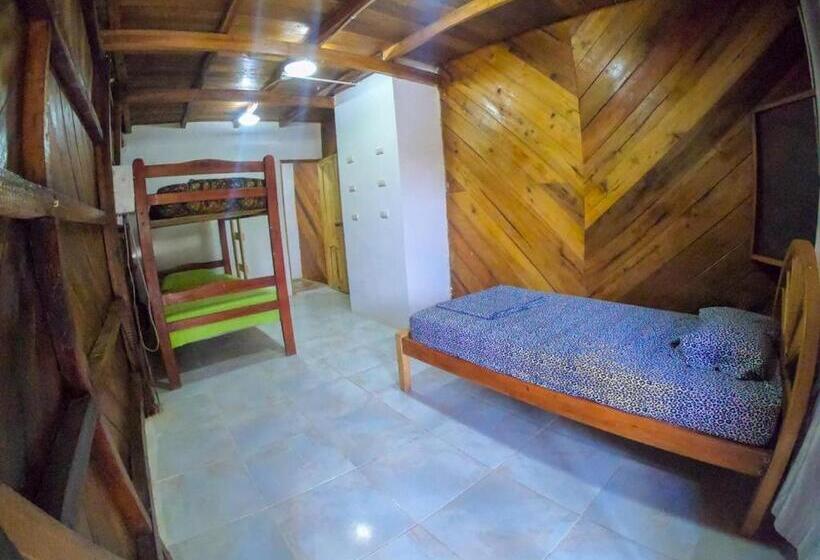 تختخواب در اتاق مشترک, Iguana Beach House