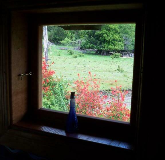 스탠다드 룸, Casaverde Hostal Ecologico