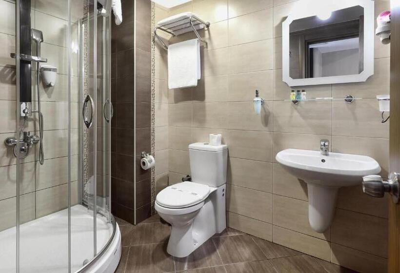 اتاق استاندارد, New Balturk Hotel Izmit
