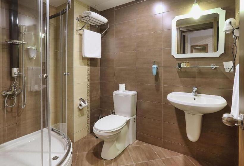 اتاق استاندارد, New Balturk Hotel Izmit