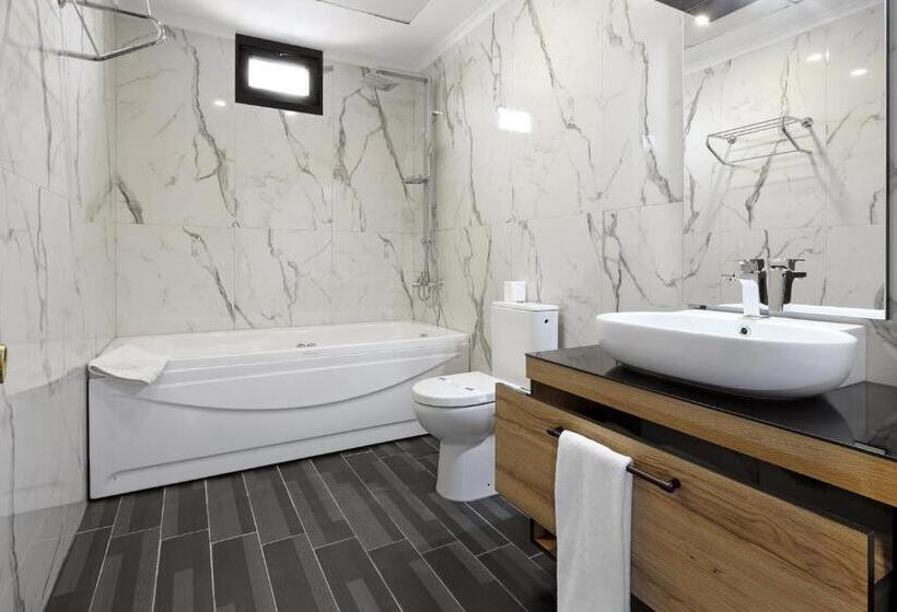 اتاق استاندارد با تخت بزرگ, New Balturk Hotel Izmit