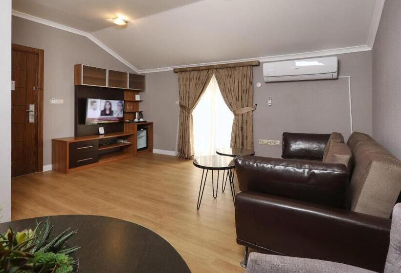 اتاق استاندارد با تخت بزرگ, New Balturk Hotel Izmit