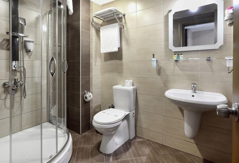 اتاق استاندارد, New Balturk Hotel Izmit