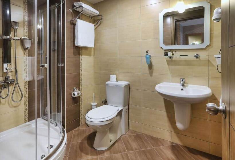 اتاق استاندارد, New Balturk Hotel Izmit