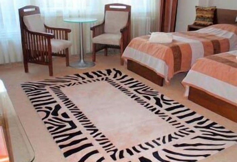 اتاق استاندارد, Afrika Hotel Frýdek Místek