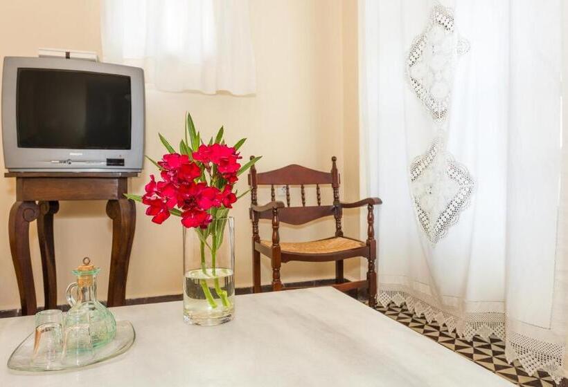 استودیوی استاندارد, Palazzo Arhontiko Apartments