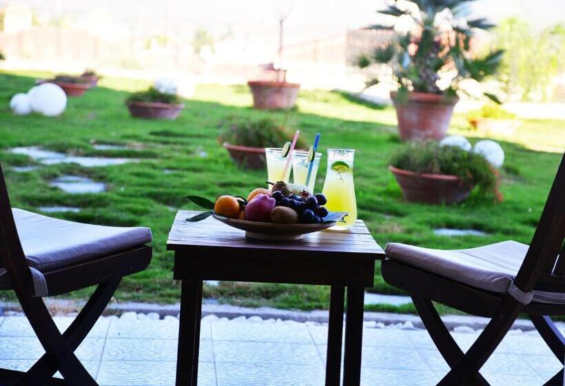 اتاق استاندارد, Imren Han Hotel   Special Class