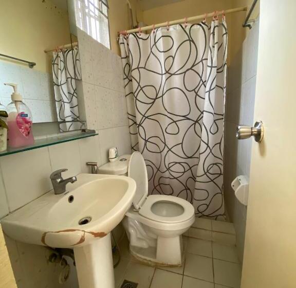 家庭间, Sn David Apartelle