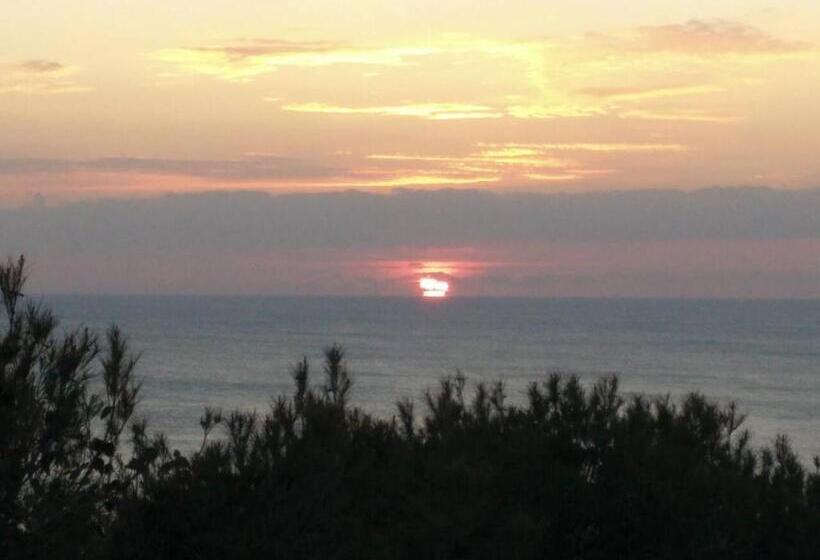 Triple Room Sea View, Oasi Del Cuore   Due Graziose Camere Con Vista Mare A 7 Min Dal Mare Di Castiglioncello