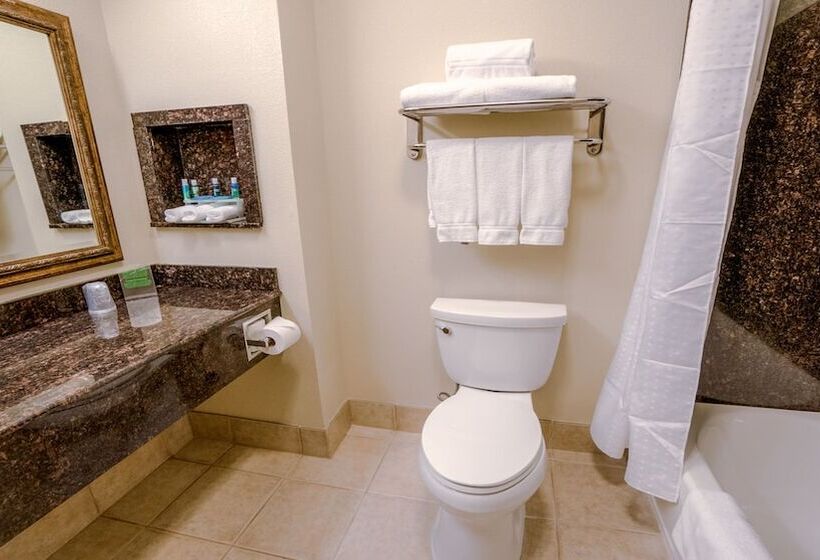 Suíte, Holiday Inn Express Hotel & Suites Pampa, An Ihg