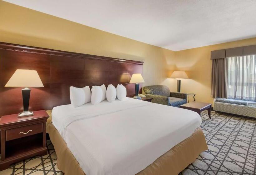 Стандартный Номер Кровать Кинг, Best Western University Inn