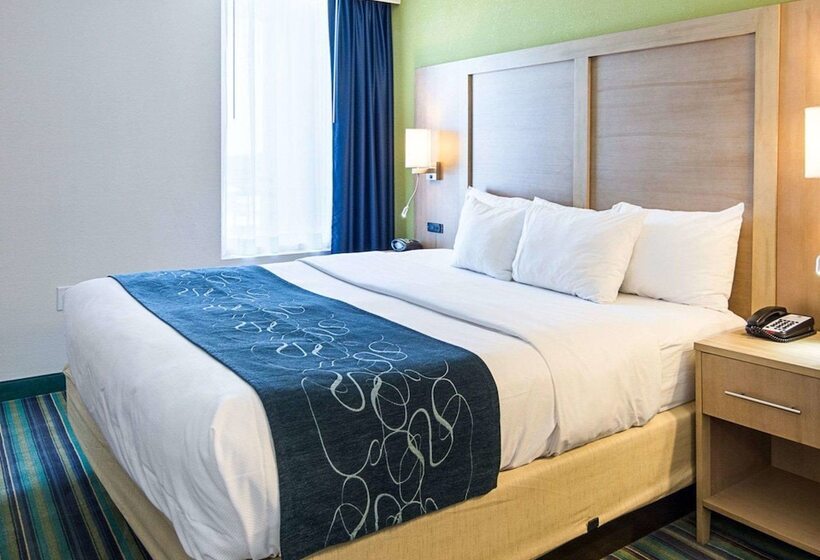 سوییت, Comfort Suites Beachfront