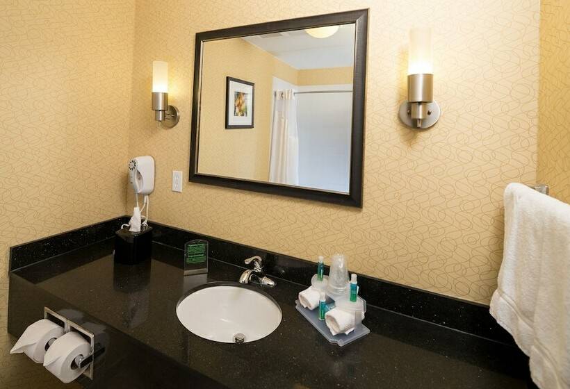 סוויטה, Holiday Inn Express And Suites Detroit North Troy, An Ihg